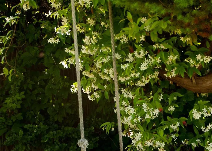 El Chiripero * 아 코루냐